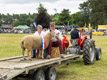 Malton Show 2024